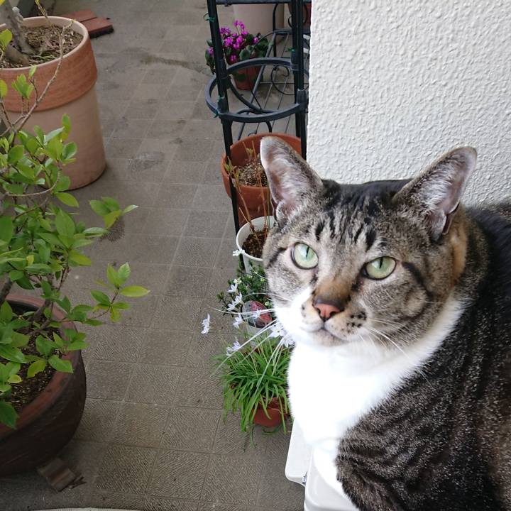 6fd269fd b7e5 4afb a6d1 36729e4435da 1584484994614