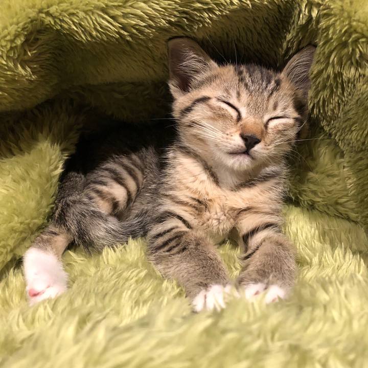 6fd2752f 8c87 4f79 aed6 d649f85055d9 1542707468235