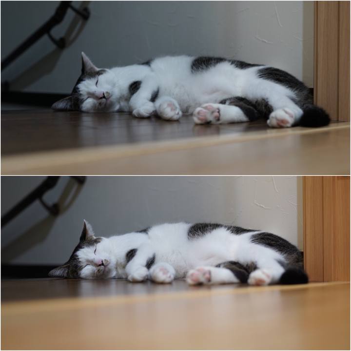 6fd27aa9 eea5 46b0 a196 bfc492ca8c42 1566431347939