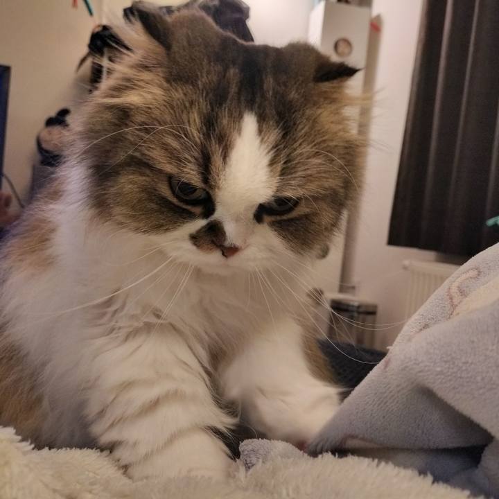 6fd284a7 f8c3 4a6e ba0b 5306b17ffc0b 1760965074845