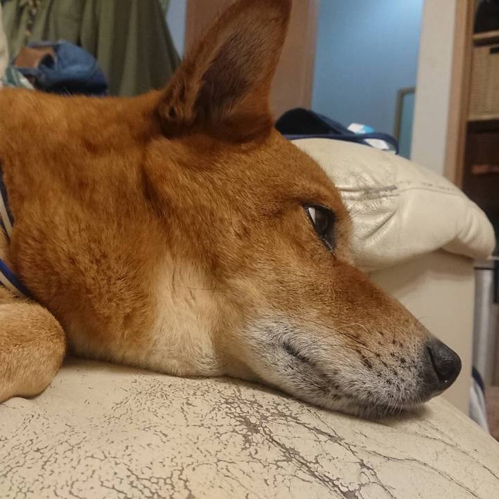 6fd28f59 9023 418d 9049 2feac782e72f 1636629643561