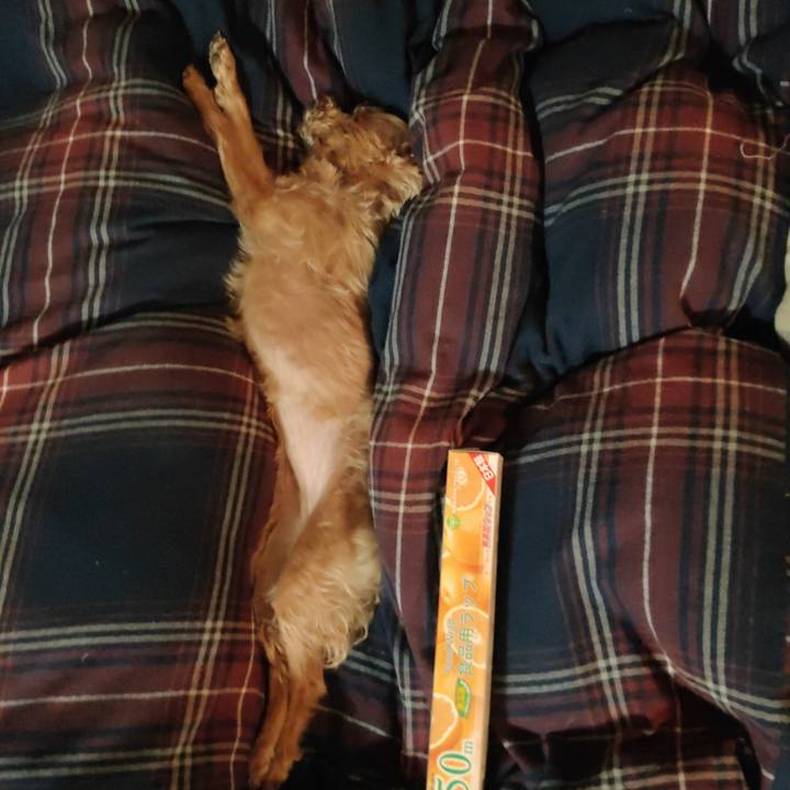 6fd28f6c 9bde 4760 824f 6c9559d6cfd6 1614259511138