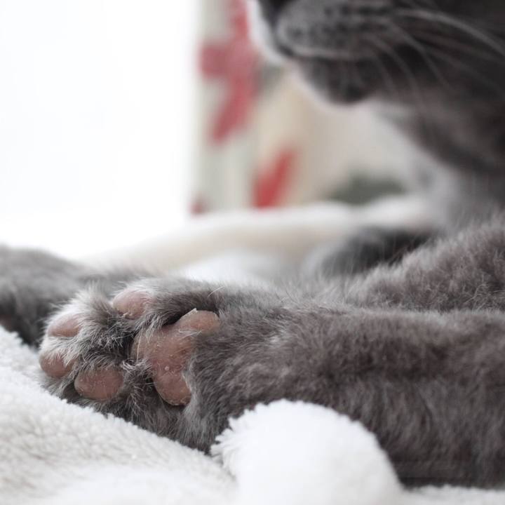 6fd29d3c b320 4db7 8a2f 74c4e0cdd9ef 1602039752322