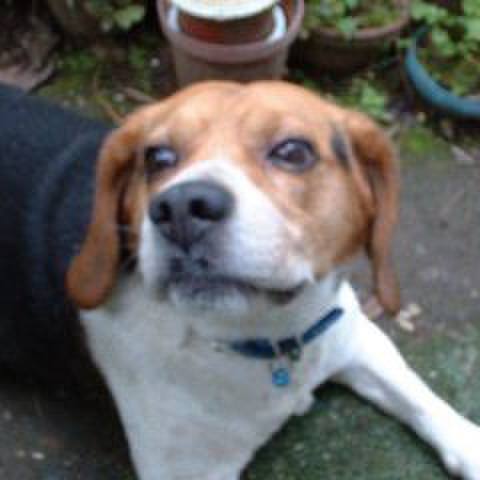 6fd2b1a8 a84e 43b2 a958 05470a8f3fc7 1660361477648