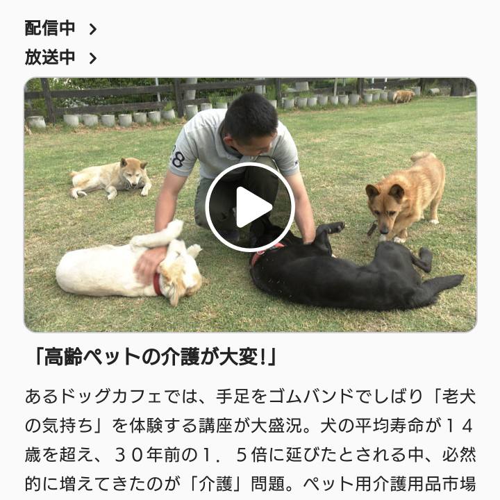 6fd30c0c 6c5d 4740 8bff 90f2c4108b72 1625136051825