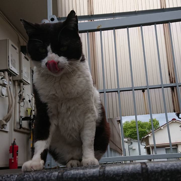 6fd317da b711 4a03 bbd7 d2379699817b 1617687381485