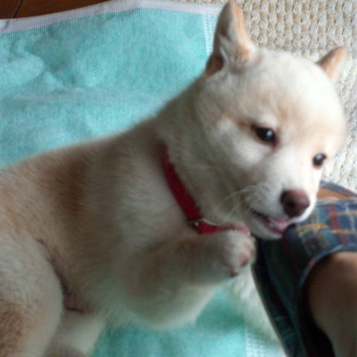 6fd33a01 fa8a 4790 a504 e1eaef9c5203 1637591557652