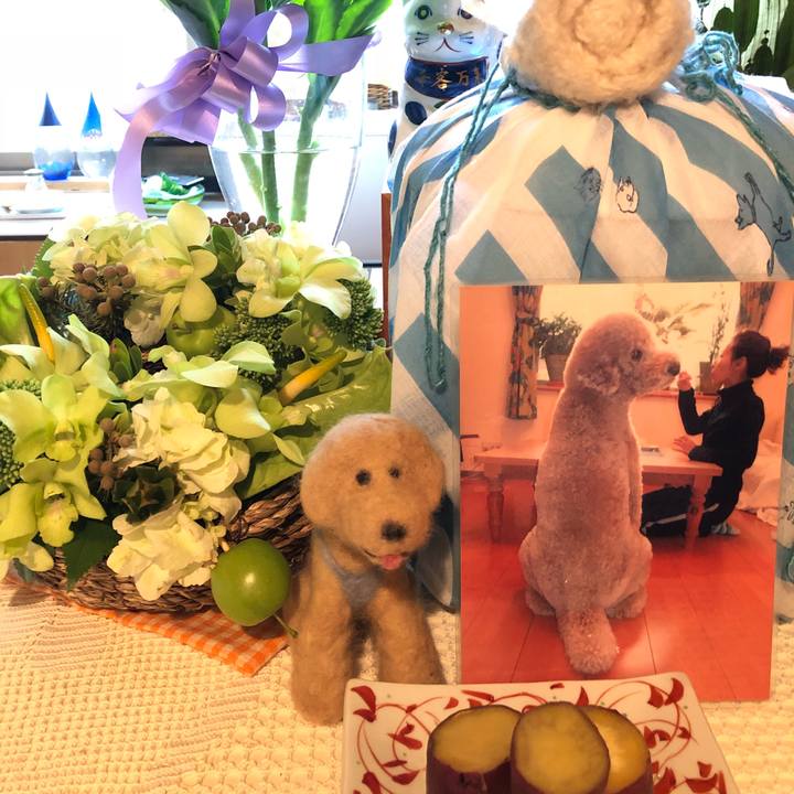 6fd362da fcc0 40c8 9a57 ca2acb331820 1533728618949