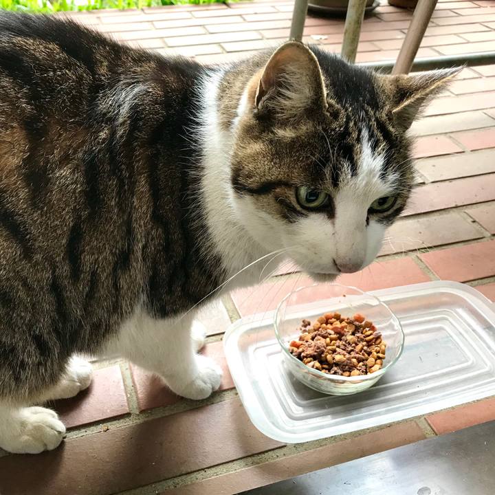 6fd36a60 4adf 4199 883a 85b6ed5cf51a 1513844893516