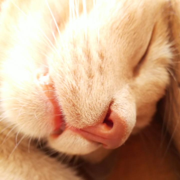 6fd36bb3 8d90 46a2 9a26 f9a7c9d83948 1595119302436