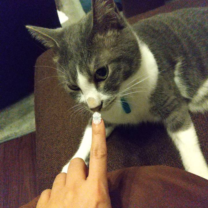 6fd3ab42 d27b 4f95 b520 6ea5dc786a8b 1626356038470