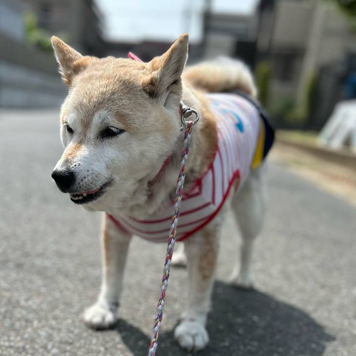 6fd3ca4c c1a7 46d0 878f 4c9b82b1ac90 1747787931886