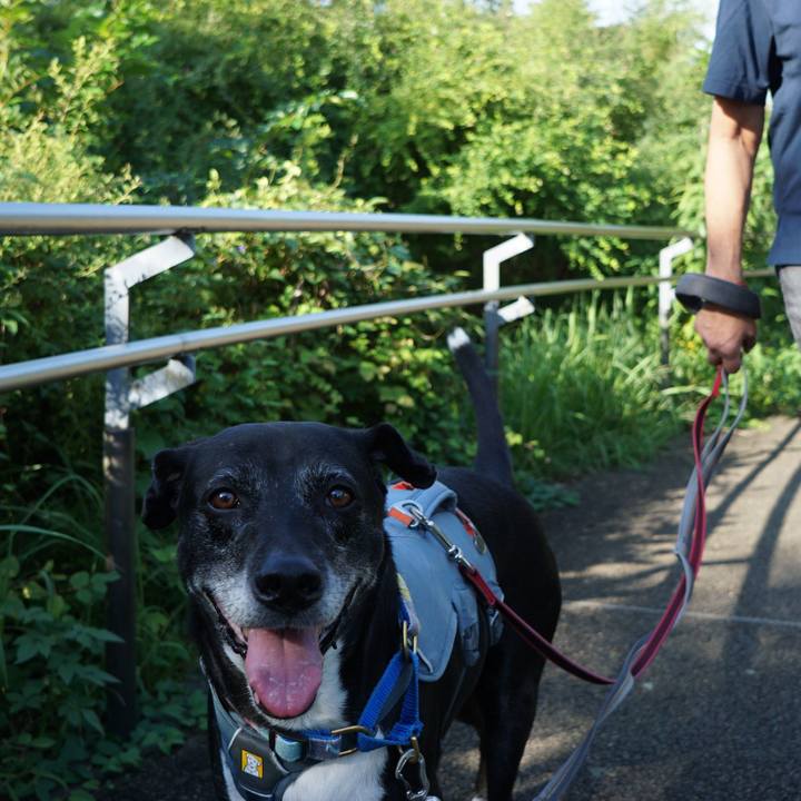 6fd3f3b3 a40c 4354 98cf a7b036e97344 1759453072064