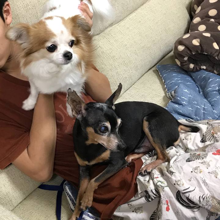 6fd42ad7 c2fe 482f 93b7 c0ba85a253b6 1525610174795