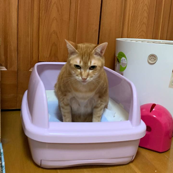 6fd43f51 2a6d 43b5 865f 0f380a1f6f77 1583790266704