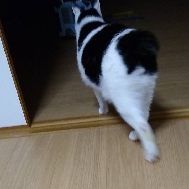 6fd45957 cb4f 4e68 bc54 6b879f931c34 1556323802657