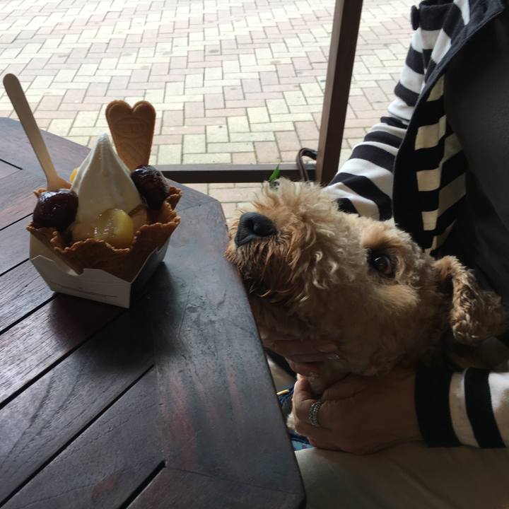 6fd48051 54c3 4417 ac6b 7a85582bbd1c 1534059300103