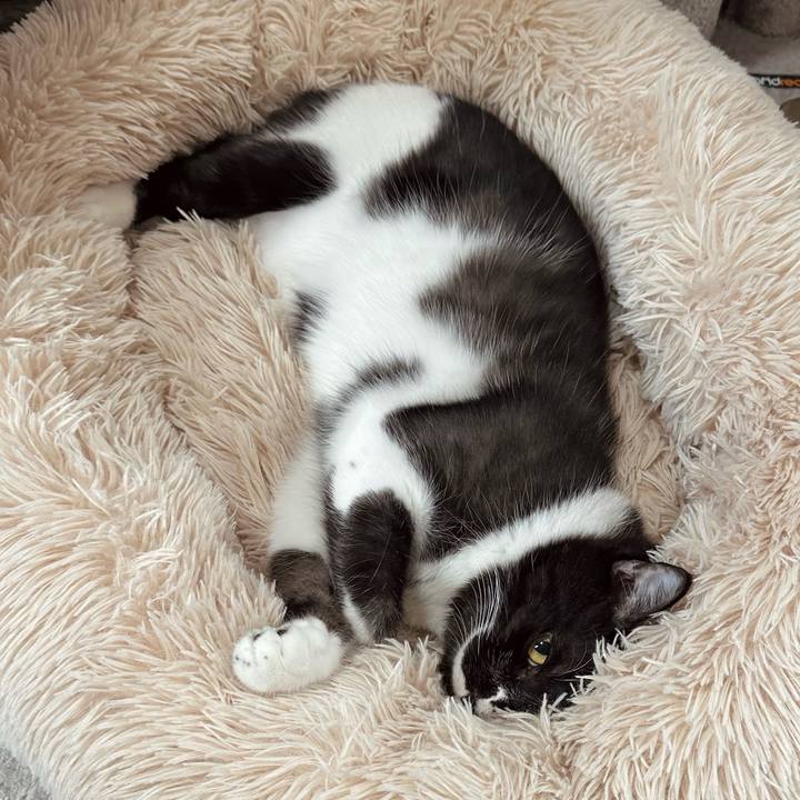 6fd49426 265a 4297 9115 f1548ad0c660 1762998248220