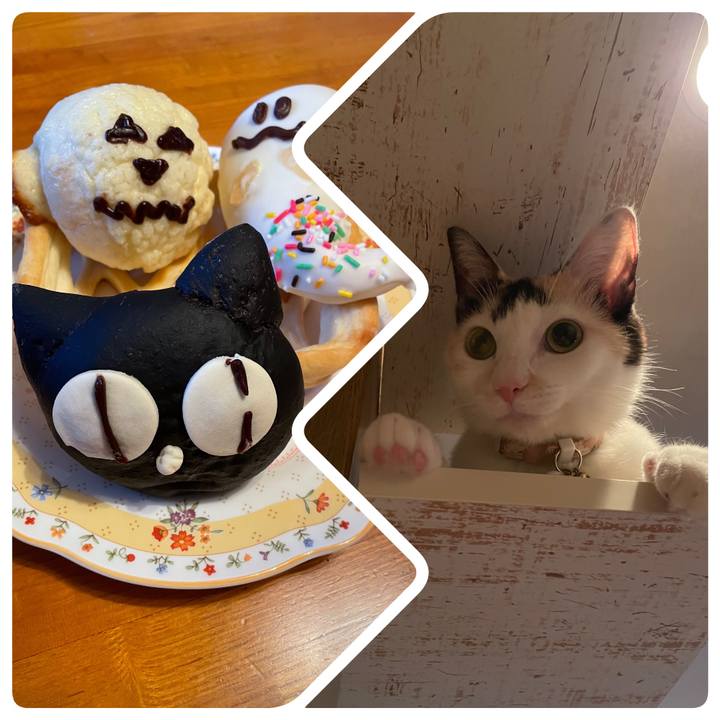 6fd4be12 11d9 40d6 acdd e1ea643c72ce 1697441092054