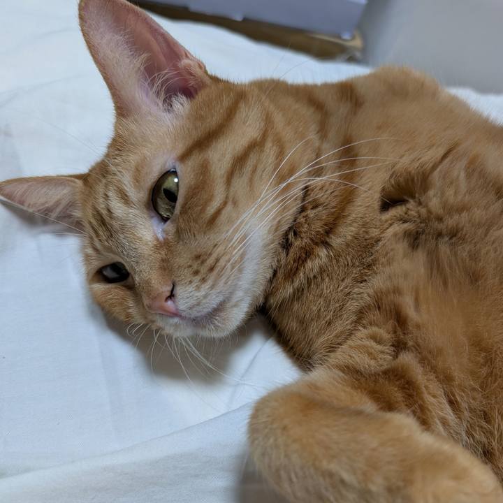 6fd4d190 58d4 41e0 b9e3 3fe39687aa39 1760013515091