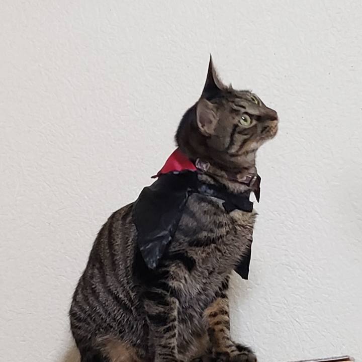 6fd51c55 ea0d 4d93 90b4 e35228710b17 1572350595317