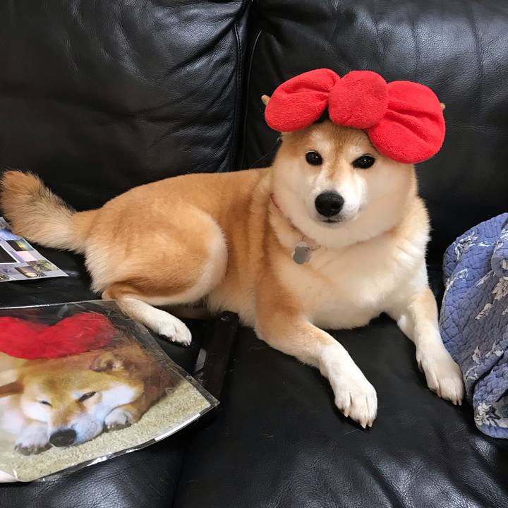 6fd52761 2e89 4d03 87a5 bd09af137ebe 1568473565446