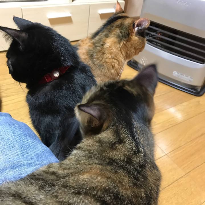 6fd5282c 1e20 46db a9a7 f2d9e5b3b337 1511316204752