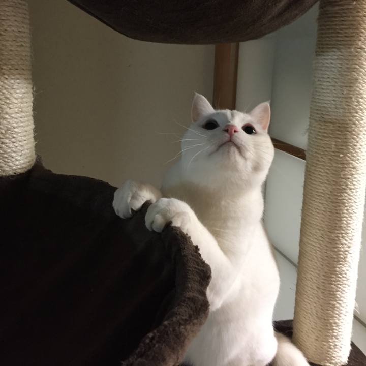 6fd532fc 53ed 4b5c a9fc 0d89d1d08fd4 1515593274929