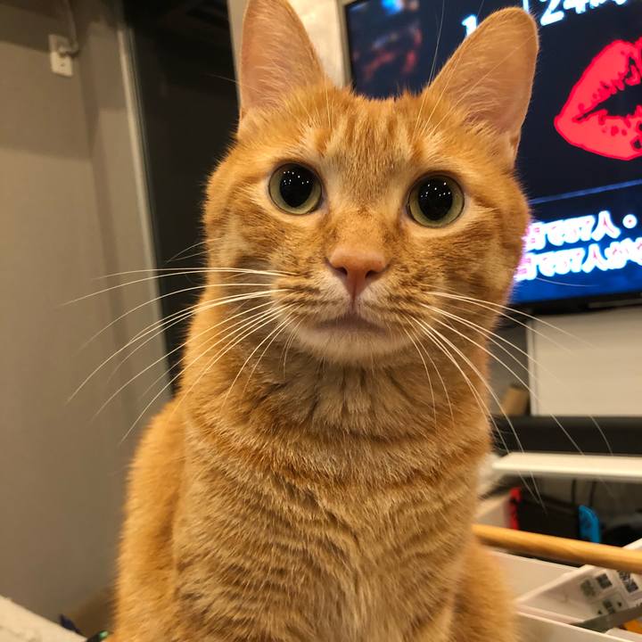 6fd535a4 7391 49b3 84e5 9be862b2d8e2 1660300011111