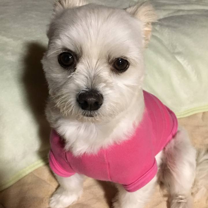 6fd53862 6e93 47b6 9e5a 11beb840cbf7 1544004217980