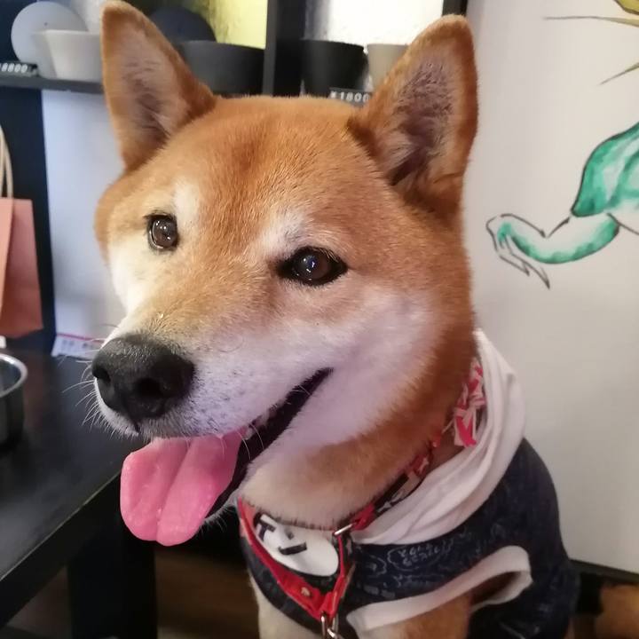 6fd54a66 a761 4fc2 aeac 0ba8de973d85 1649685564273