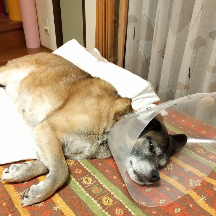 6fd556ca 0fb1 4bd8 aa1c b9ed72928a53 1520118172201