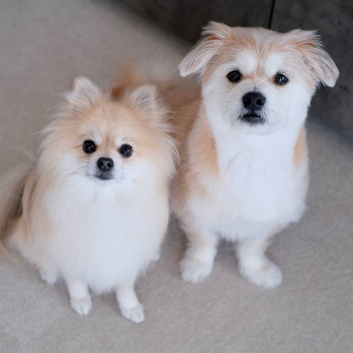 6fd61a60 2c10 48c6 827f 813b96827bf6 1773093472360