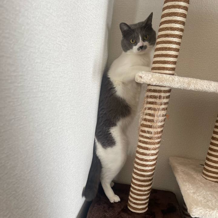 6fd6225c 140c 4c73 a72a 22c525db5031 1674271265487