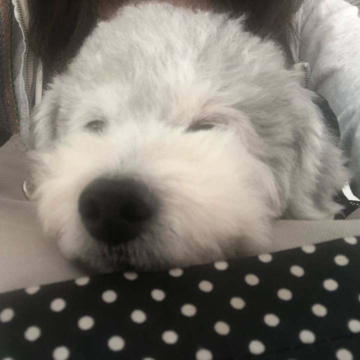 6fd663fa b03e 4d0d a0ff 65c1671e7d42 1558835600498