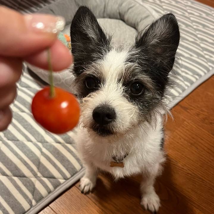 6fd68d59 bff6 4f5c 99d1 74eeab7bc2ca 1750856296910