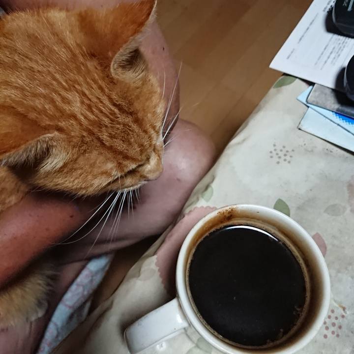 6fd6c82f 67c3 4d77 8b82 137c85a380d0 1598299245104