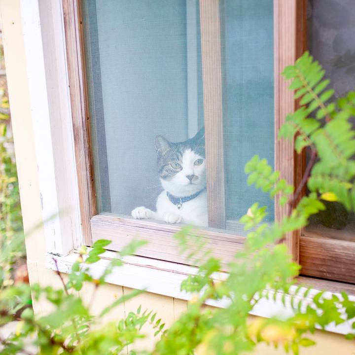 6fd6cac5 7cb5 4779 ab4a 82cfff8431a3 1572749496217