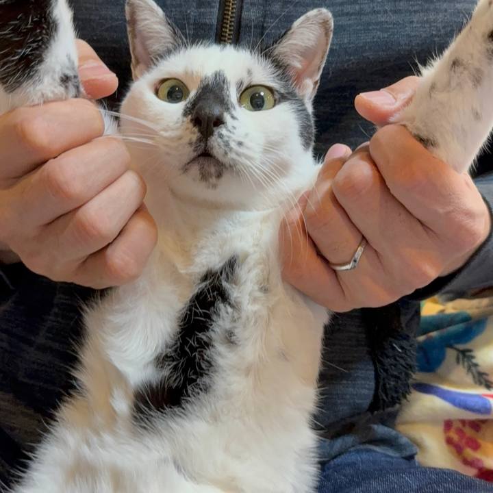 6fd6ceae 40a1 418a b870 aee4fe293cbc 1769525728548