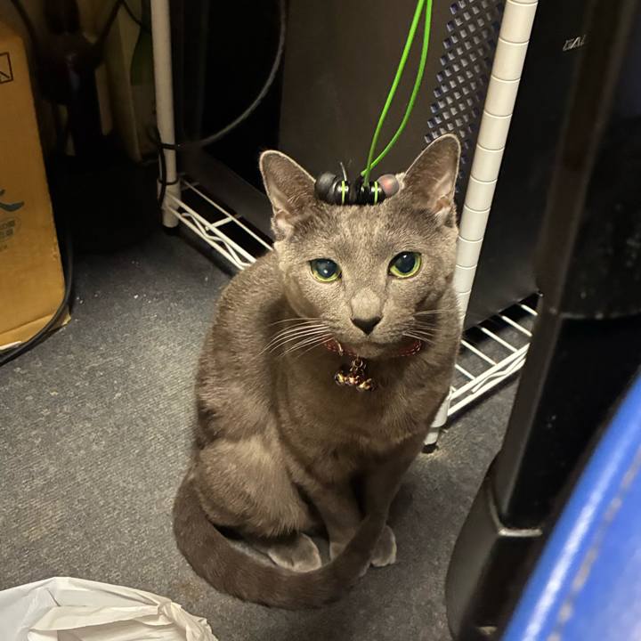 6fd6d334 c2ea 4a5c a50d ac9d347636a7 1773403223559