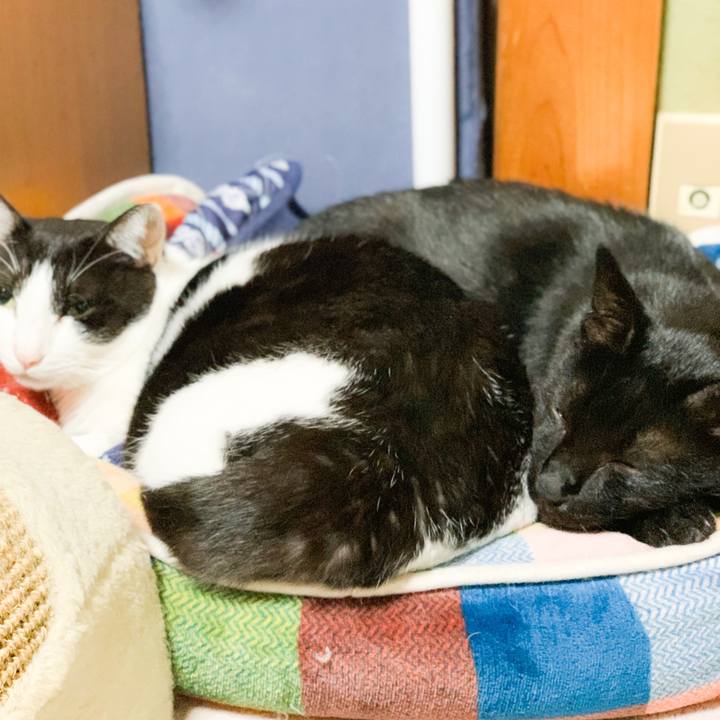 6fd6ffc8 f7c5 42cb 8738 4a46f9ef9ceb 1572835076633