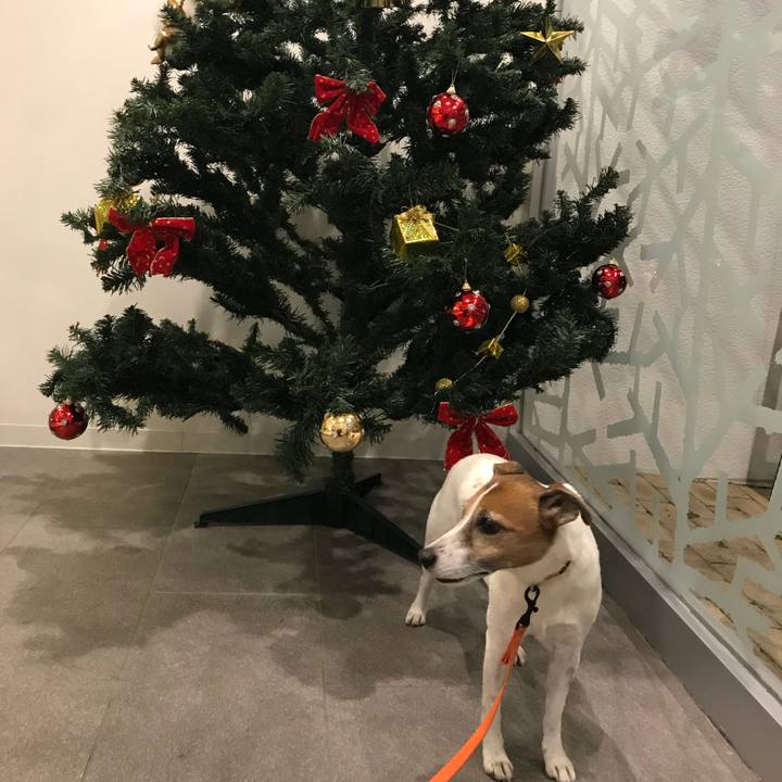 6fd739ff 3740 421b 87ef 88c21af6b015 1513415263154