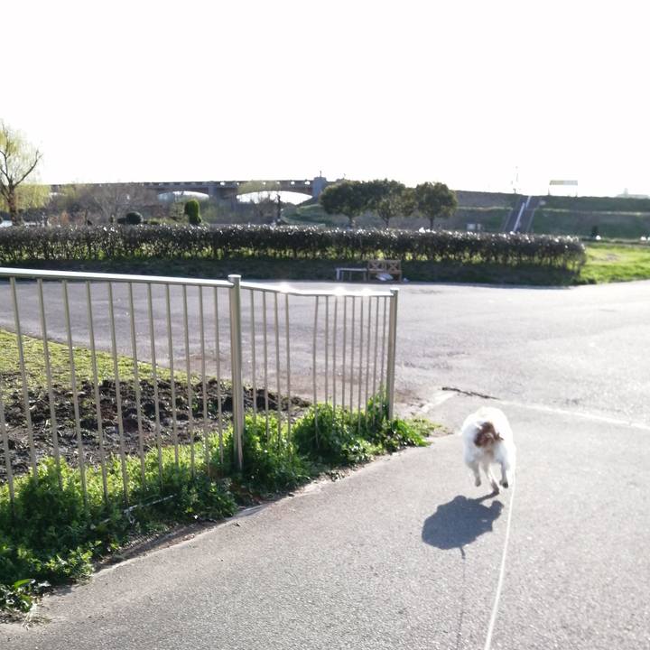 6fd75024 1351 454e a762 942ce4d3cc50 1615712819815