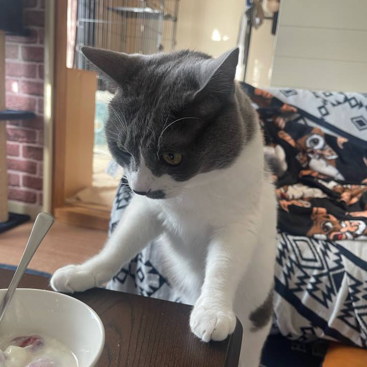 6fd779e4 dea4 42ad b6bd 3bc713f632ba 1698793148588