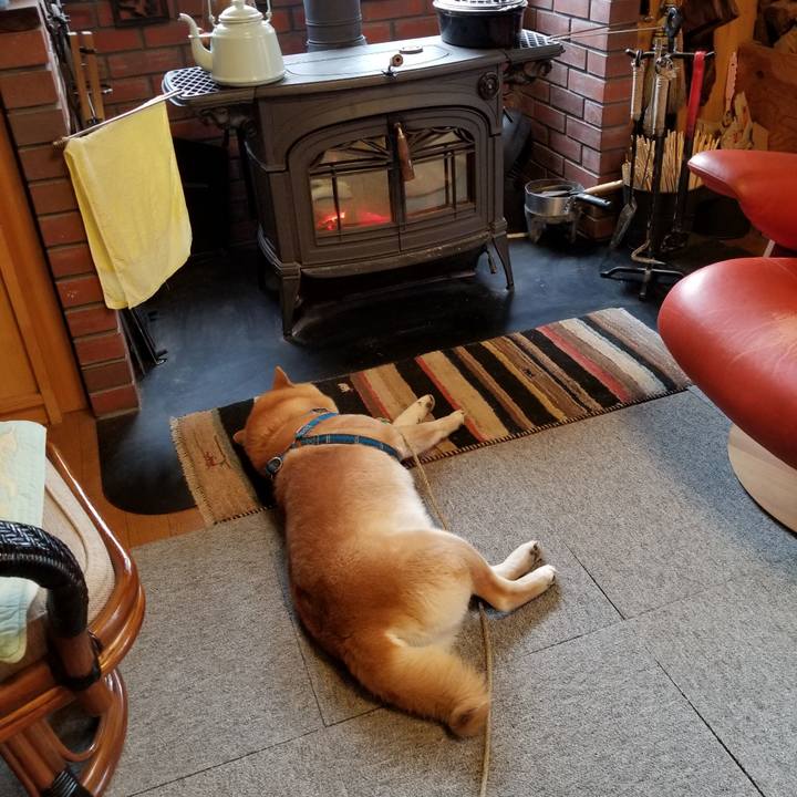 6fd7ed79 1ab0 4d42 a2fc 7e158c1c7d65 1553128475245