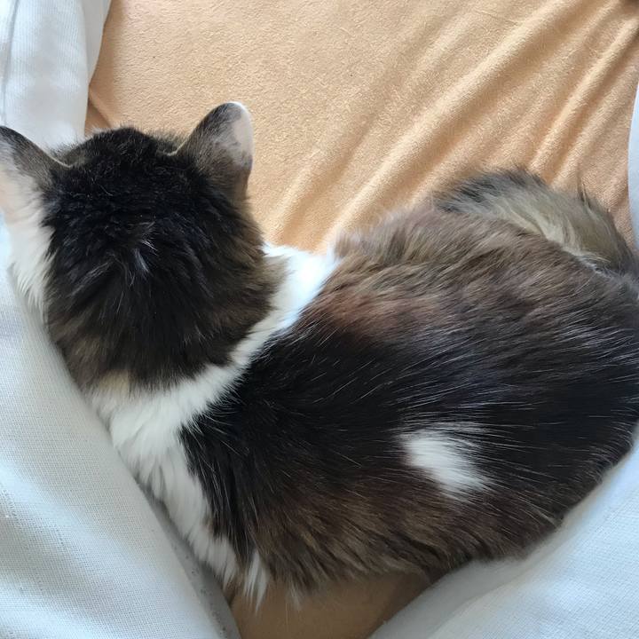 6fd80193 e72b 4fb3 ba0d cad506612af7 1581227491505