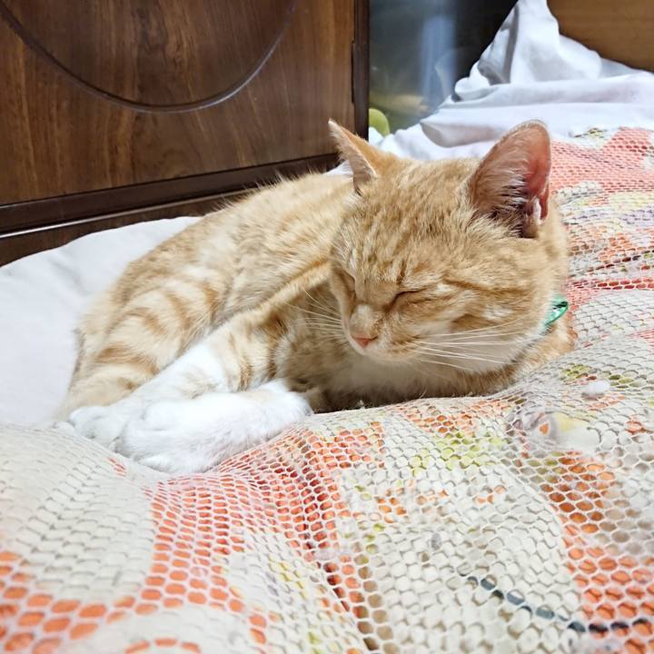 6fd80815 ae9e 4a81 995f d3aa62745cc6 1585391762981