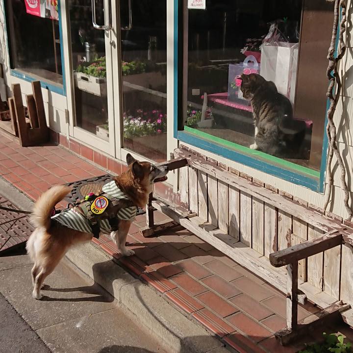 6fd826a7 2982 4d8e b3d5 123f6cc8ac9d 1584839476208