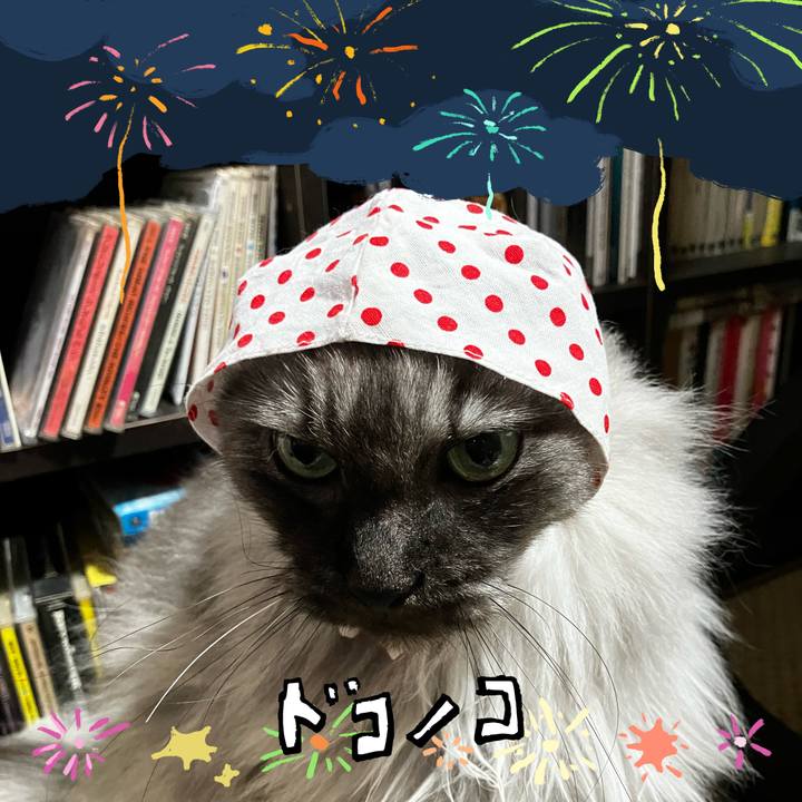 6fd839e6 a5c3 4043 844b ea2b944eb603 1723343162468