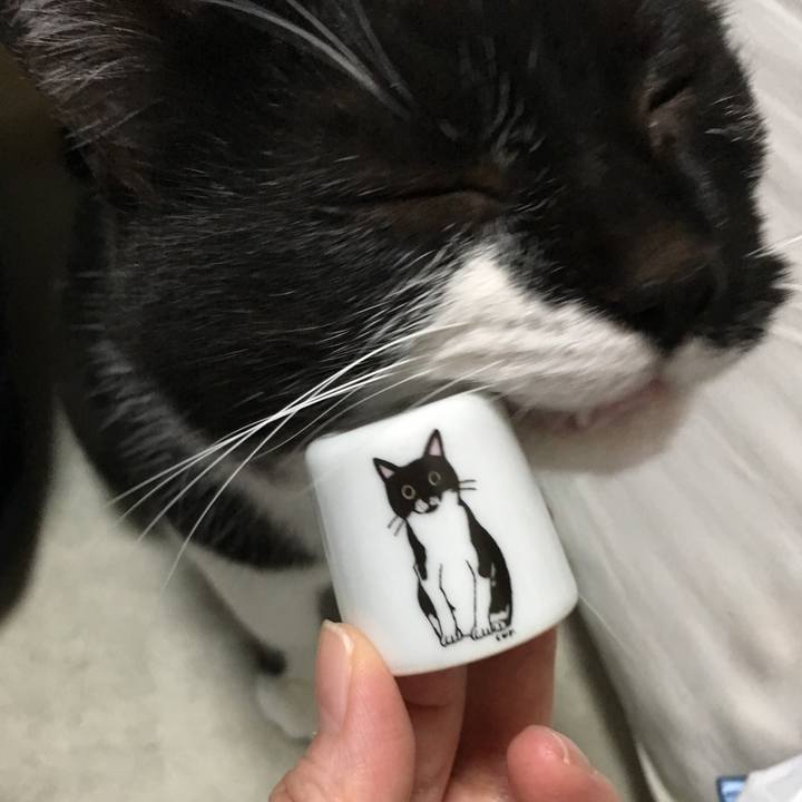 6fd83d2f cb96 479a 9d43 6e1468ee459d 1524318498393